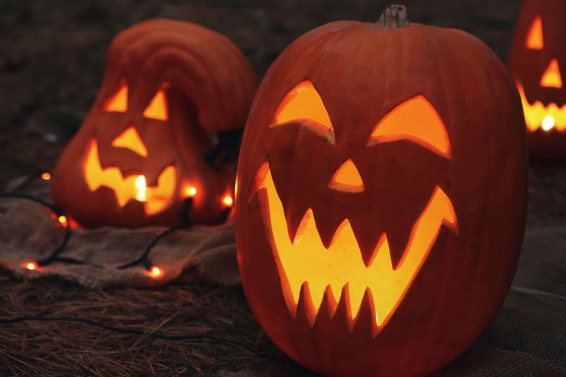 Тыква на Хэллоуин: как появился символ праздника