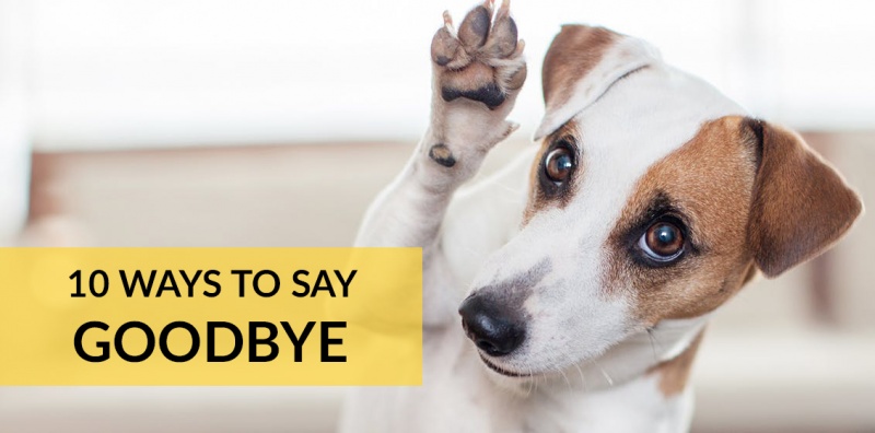 10 способов сказать "Пока" по-английски